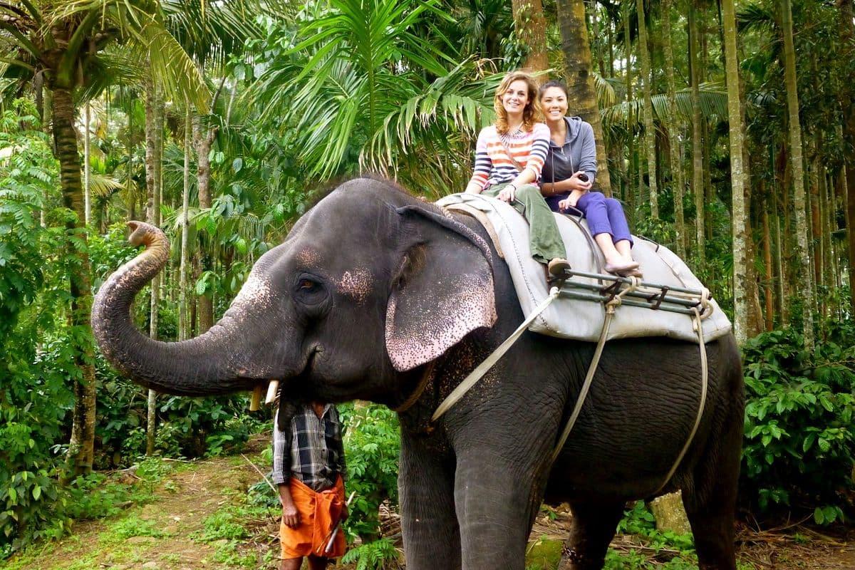 Elephant ride