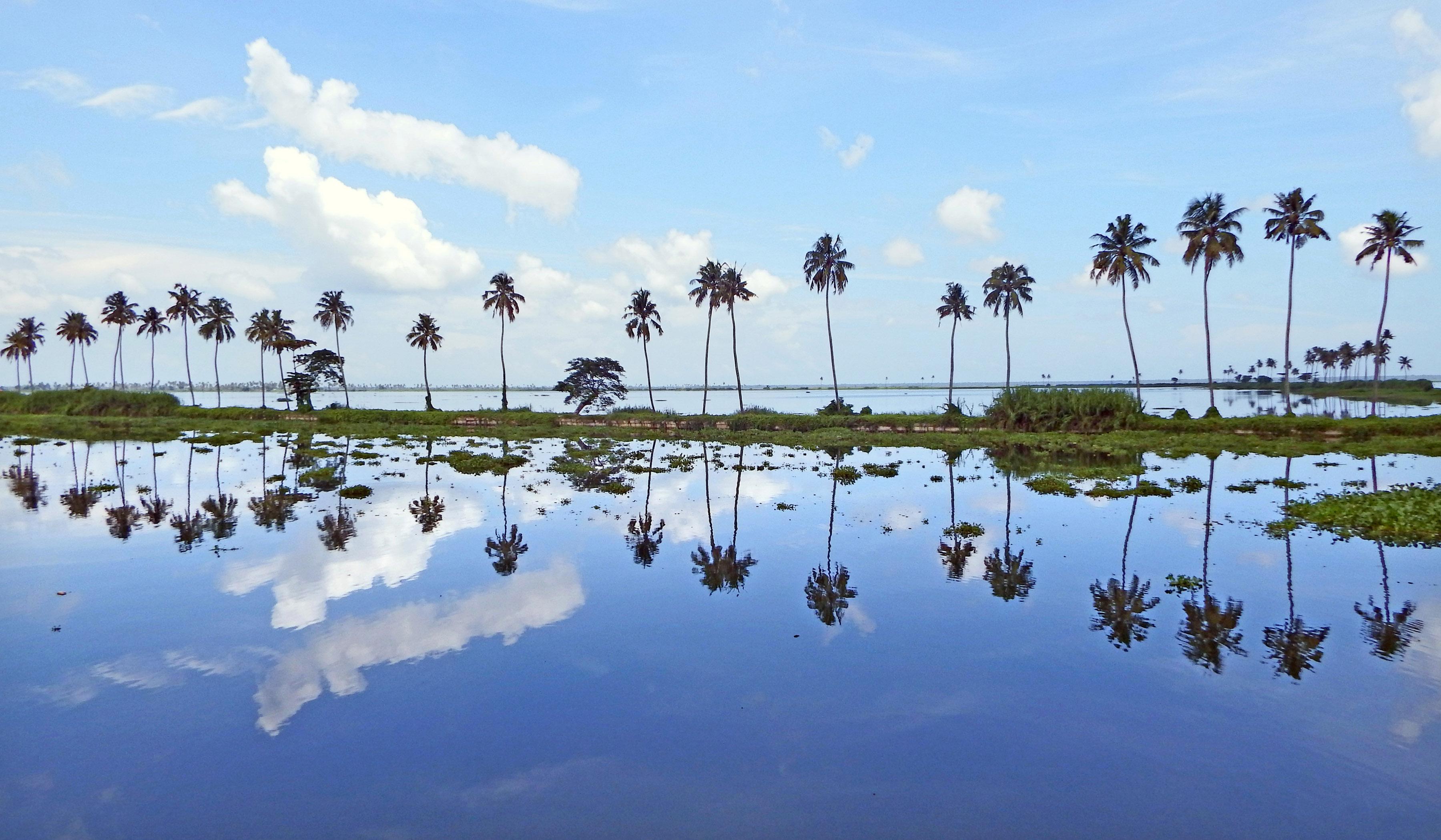 Kumarkoan