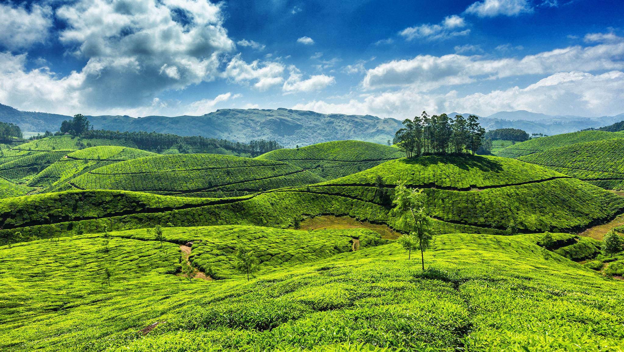 Munnar